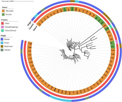 Genome-based surveillance reveals cross-transmission of MRSA ST59 between humans and retail livestock products in Hanzhong, China